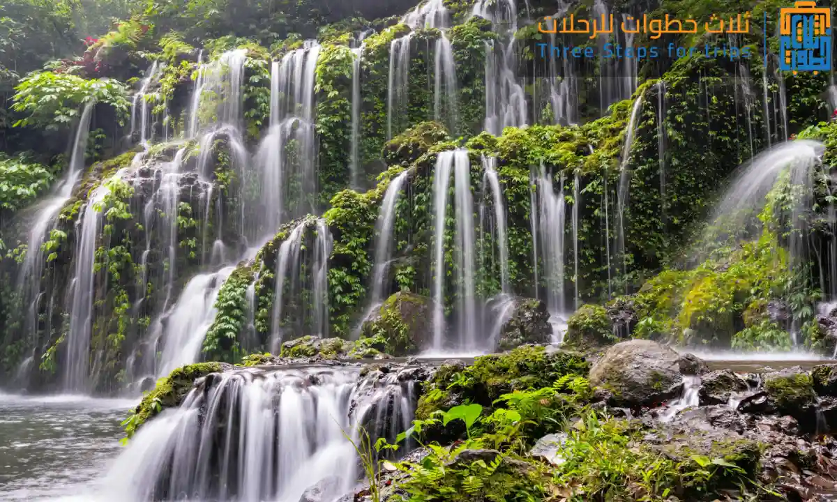 اكتشف سحر السياحة في بالي - ثلاث خطوات للرحلات