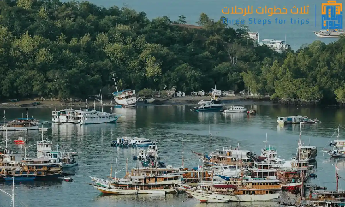 اكتشف سحر السياحة في نوسا تينجارا - ثلاث خطوات للرحلات