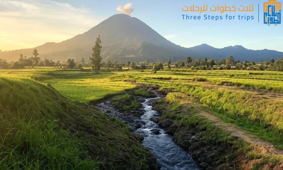 زيارة الجبال والمنتزهات السياحة في جزيرة جاوة إندونيسيا مع ثلاث خطوات للرحلات