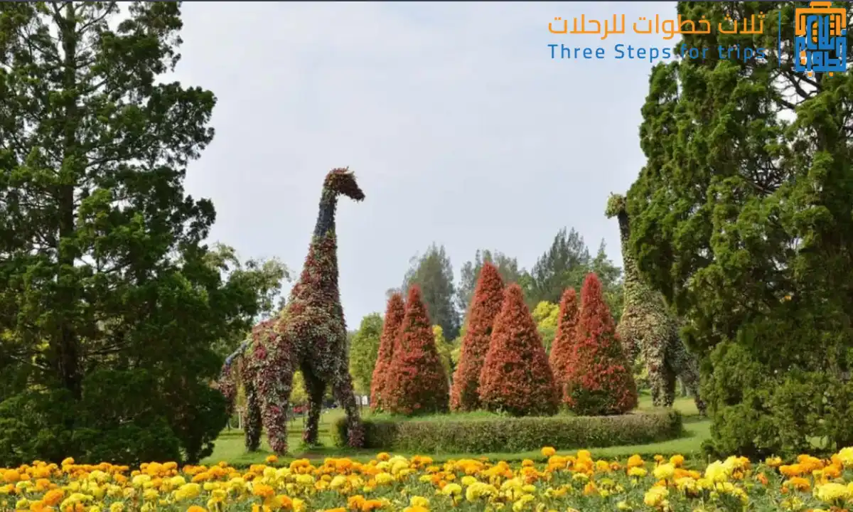 حديقة الزهور بونشاك ضمن الجدول السياحي في بونشاك للعوائل والشباب مع ثلاث خطوات للرحلات 